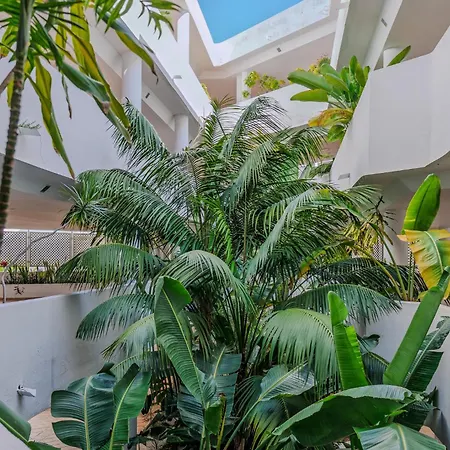 Apartment New Renovated Front Line Playa Rocio Puerto Banus *